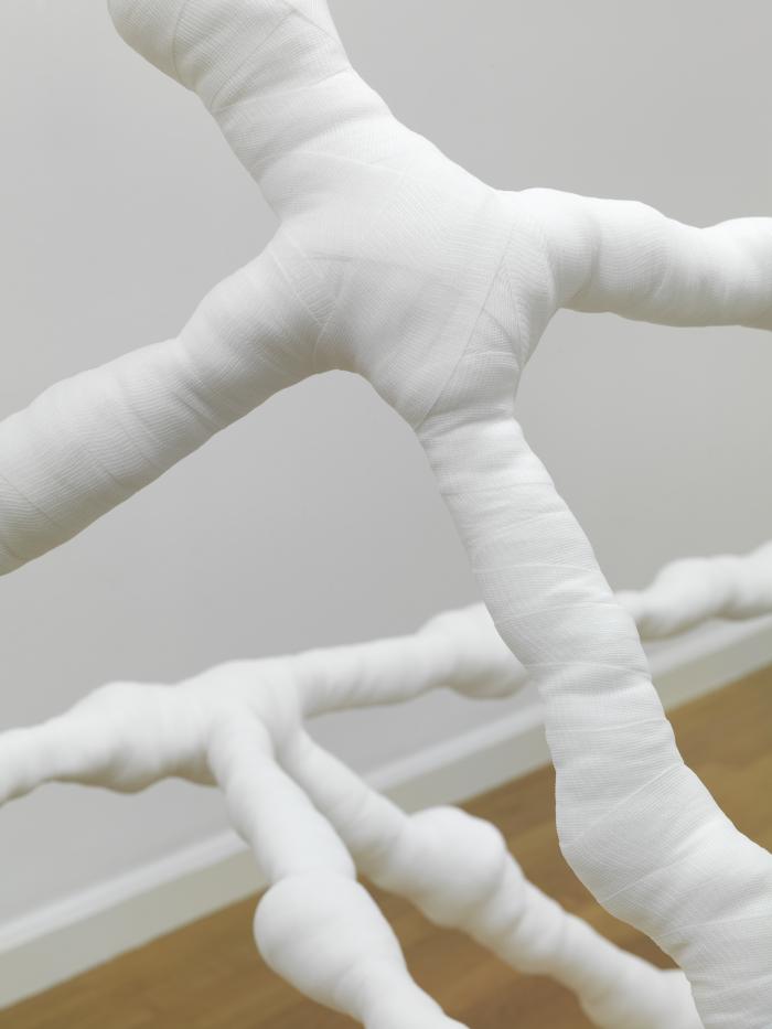 Muvit_StdGalDel_Det_Aus_3000h