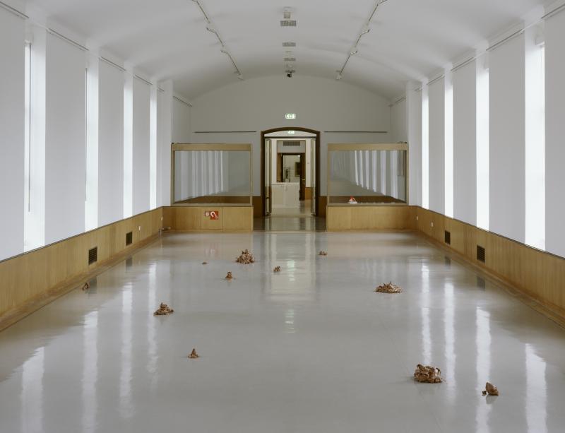 A05BvB_NuKap_BvB_Ha1_mKaphi_3000b