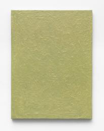 Ptxbld8060_Lie_Ha1_Rep_vWc_3000h