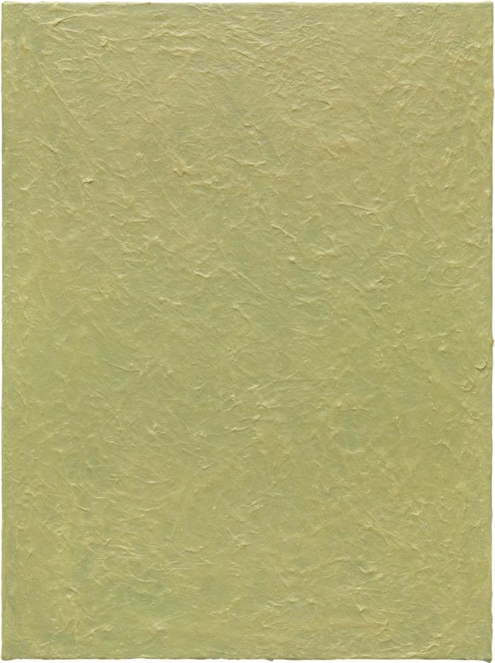 Ptxbld8060_Lie_Ha1_Rep_fa_3000h