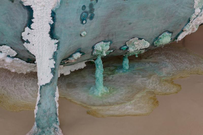 Bawa_Lou_Det_Sasln_na_3000b