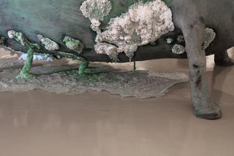 Bawa_Lou_Det_Sasln_etweiwg_3000b