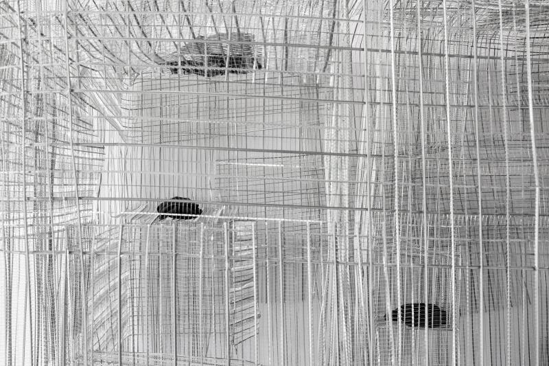 PPP_KvR_Det_Aus_schwTShrtm2weiTex_3000b