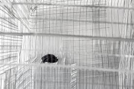 PPP_KvR_Det_Aus_schwTShrtohGitdav_3000b