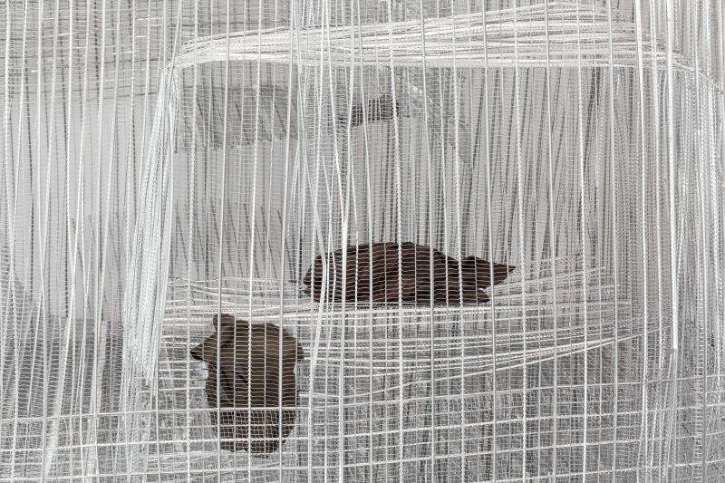 PPP_KvR_Det_Aus_2brnTex_3000b