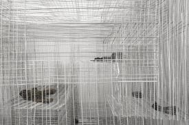 PPP_KvR_Det_Aus_grueFepuliunmandTex_3000b