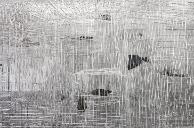 PPP_KvR_Det_Aus_Laesei_frtl_3000b