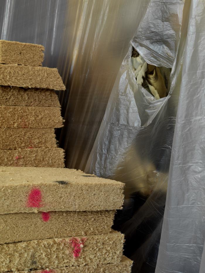 SteicuEut_SchEut_Det_PlamLo_3000h