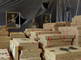 SteicuEut_SchEut_Det_Pla_3000b