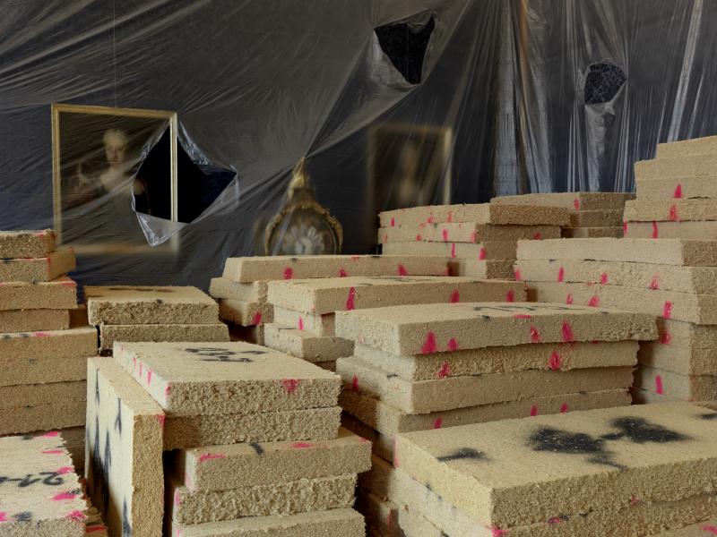 SteicuEut_SchEut_Det_Pla_3000b