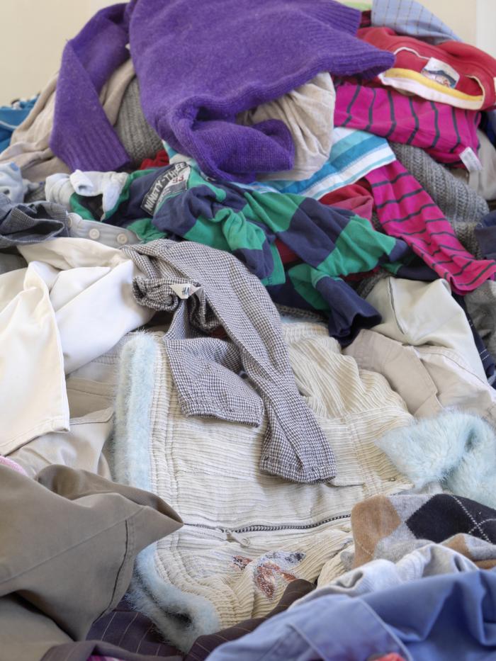 ShaPlaII_OSchRhe_Det_lilPulob_3000h