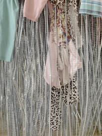 ShaPlaII_OSchRhe_Det_rosPulhiGi_3000h