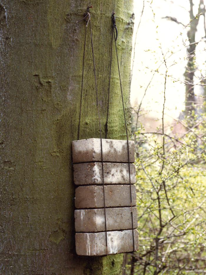 Baube_D23_Ha1_c_3000h