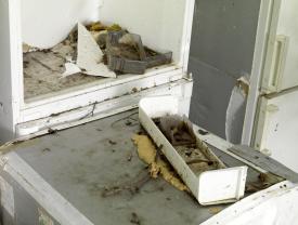 Depge_SkupaK_Det_schmuPlatei3000b