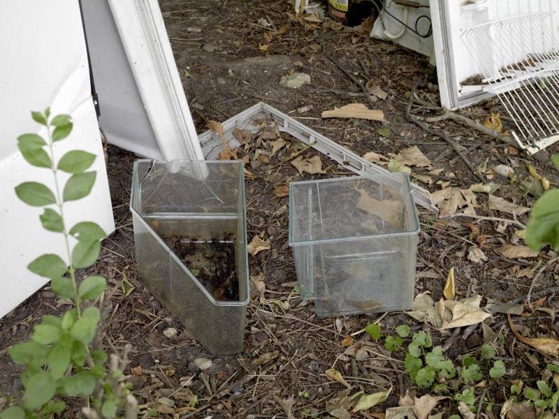 Depge_SkupaK_Det_traPlabehae3000b