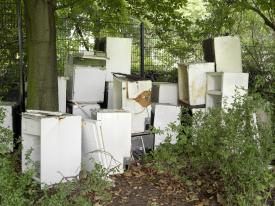 Depge_SkupaK_Det_Aus_mBauli_3000b