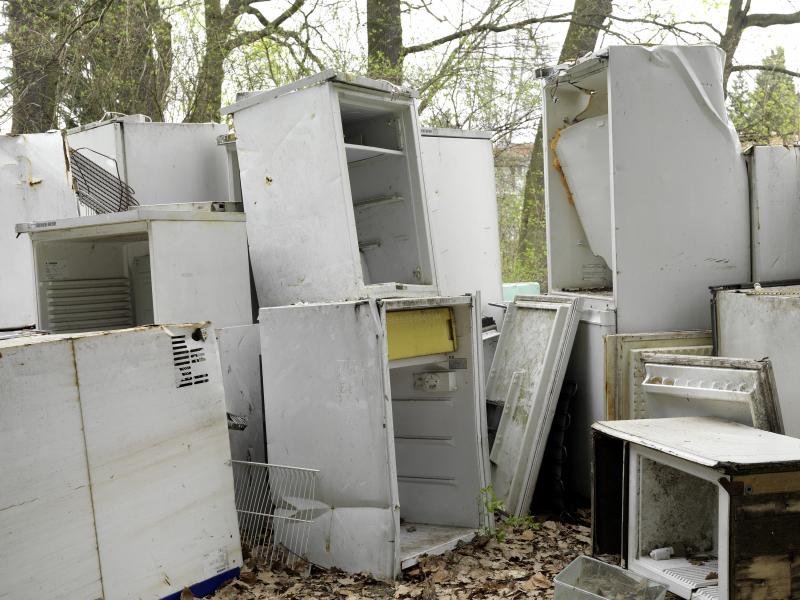 Depge_HaW - Det - mit gelber Klappe - oo_3000b