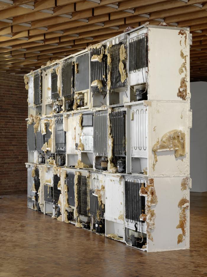 Tai_AdKH_Wa_Ra_vhiseschrgre