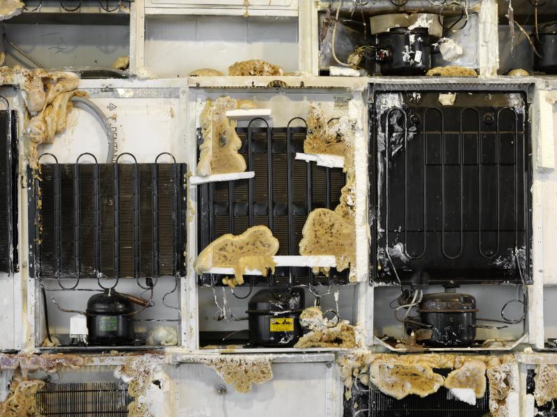 Tai_AdKH_Det_Aus_vhi3Kue