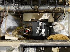 Tai_AdKH_Det_Aus_vhiMo