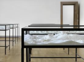 Fel_SchwVi_Det_VitvdSei