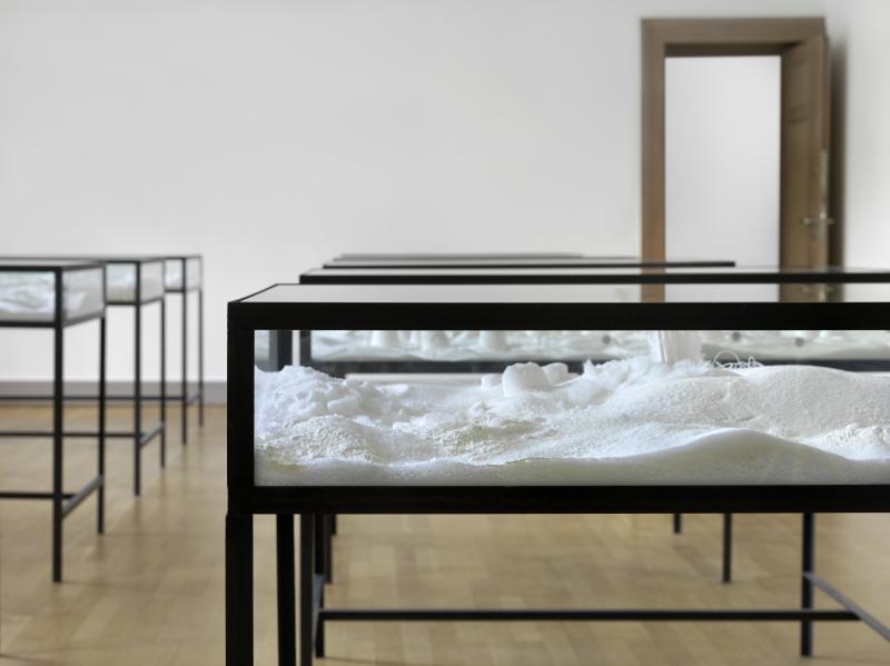 Fel_SchwVi_Det_VitvdSei