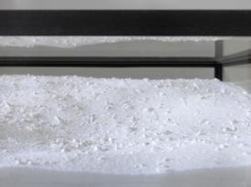 Fel_SchwVi_Det_AbhavdSei