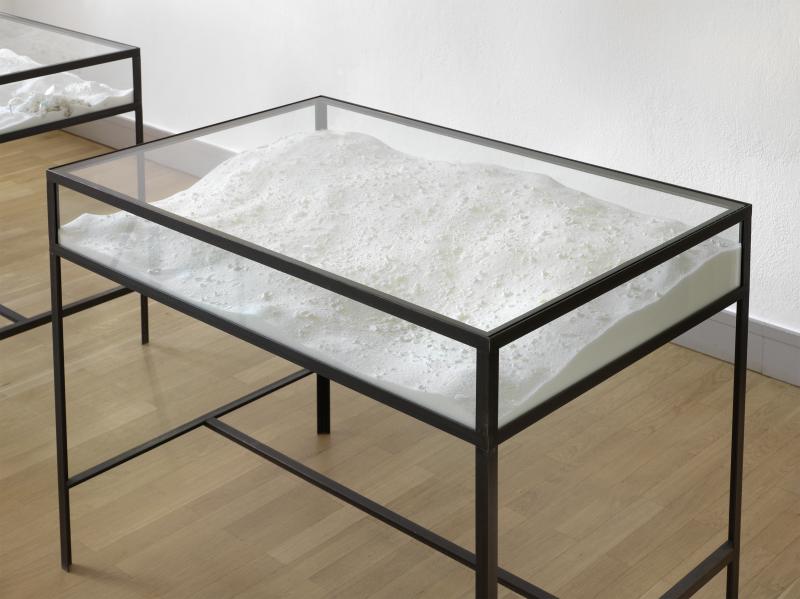 Fel_SchwVi_Det_VitmAbha