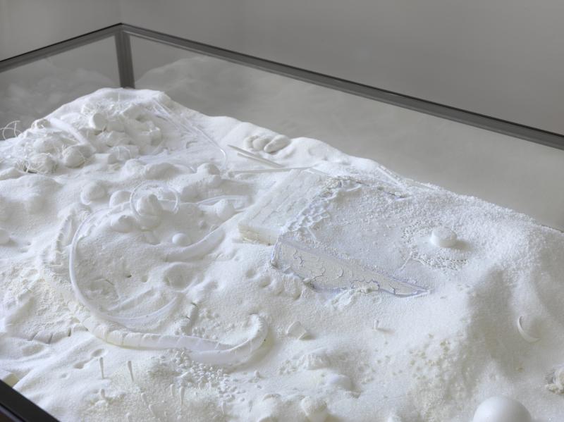 Fel_SchwVi_Det_VitmSchlaeuuPlafo