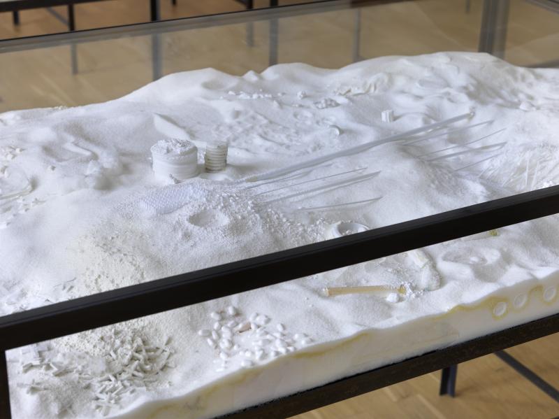 Fel_SchwVi_Det_VitmRo