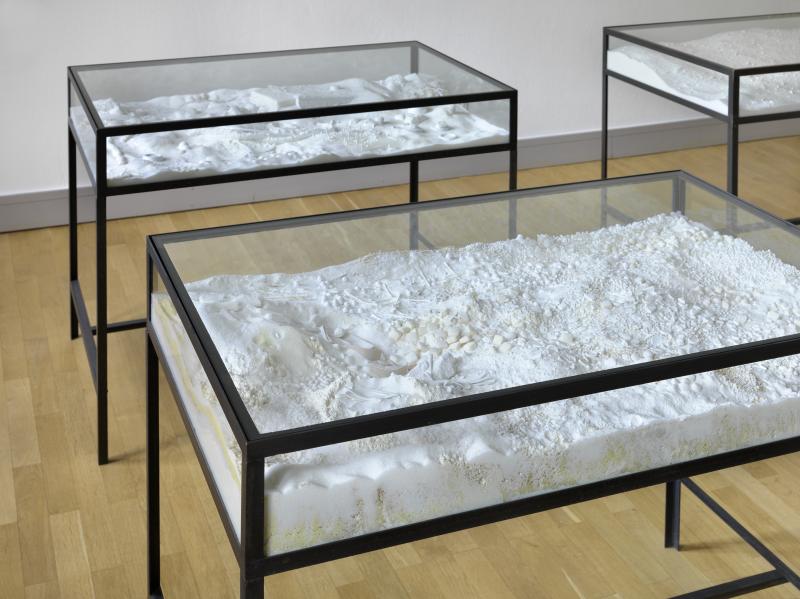 Fel_SchwVi_Det_3Vitvleischrgliob