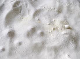 Fel_SchwVi_Det_Aus_SpivZukeg