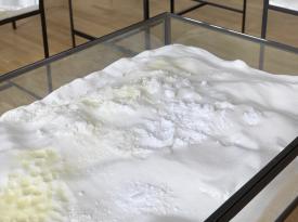 Fel_SchwVi_Det_VitmgelStauunli