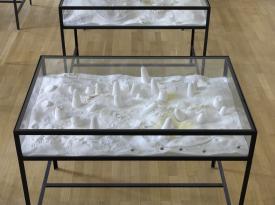 Fel_SchwVi_Det_VitmZuke