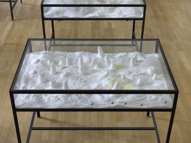 Fel_SchwVi_Det_VitmZuke