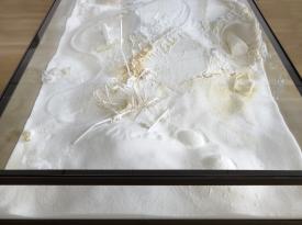 Fel_SchwVi_Det_VitmKegiHoe