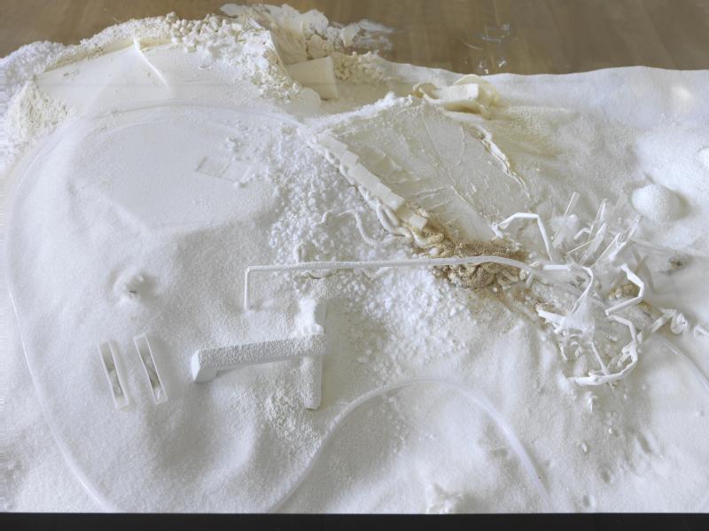 Fel_SchwVi_Det_ZubemPlat