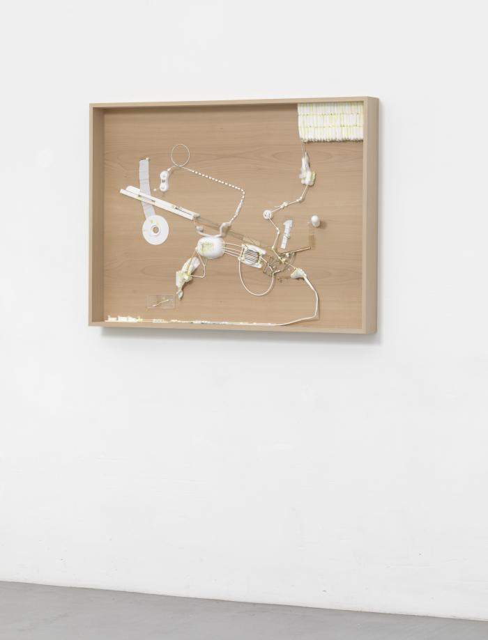 Dia3_Lie_Wa_Ra_vlschrgre_3000h