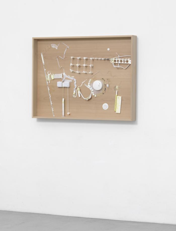 Dia5_Lie_Wa_Ra_vlschrgre_3000h