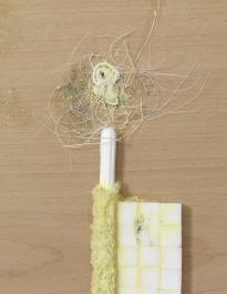 Dia5_Lie_Det_ZuckflaemTpn_3000h