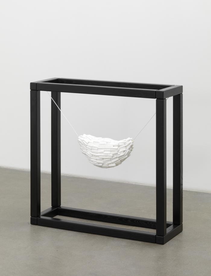 Tpngest_ScM_Ha1_3000h