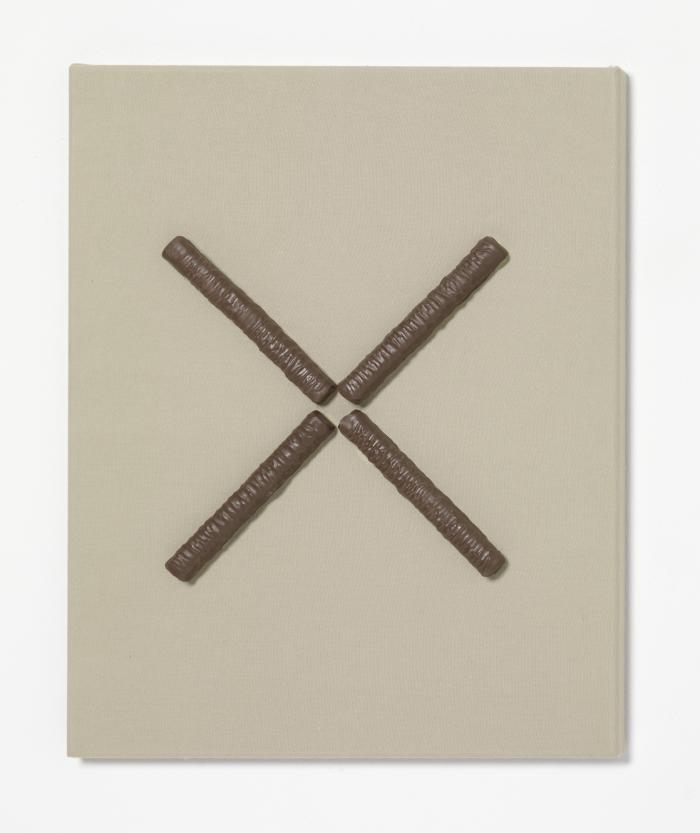 TwixX_SBB_Ha1_vlschrgre_Rep_vW_3000h