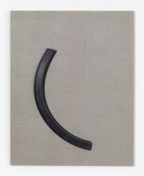 grBog_ScM_Ha1_Rep_vW_3000h