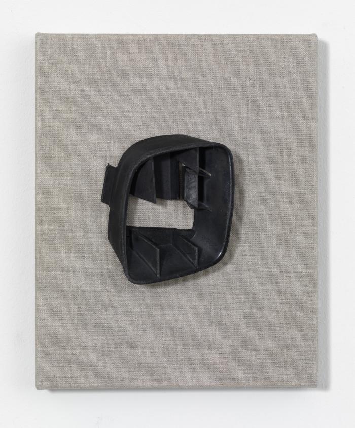 Mikuegri_ScM_Ha1_Rep_vW_3000h