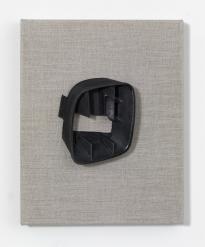 Mikuegri_ScM_Ha1_Rep_vW_3000h