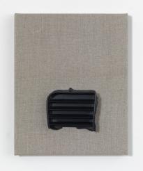 Mikuegrigschl_ScM_Ha1_Rep_vW_3000h