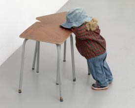 Pup_Lie_Wa_vli_QF_3000b