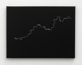 Finabldschw_Lie_Ha1_Rep_vW_3000b