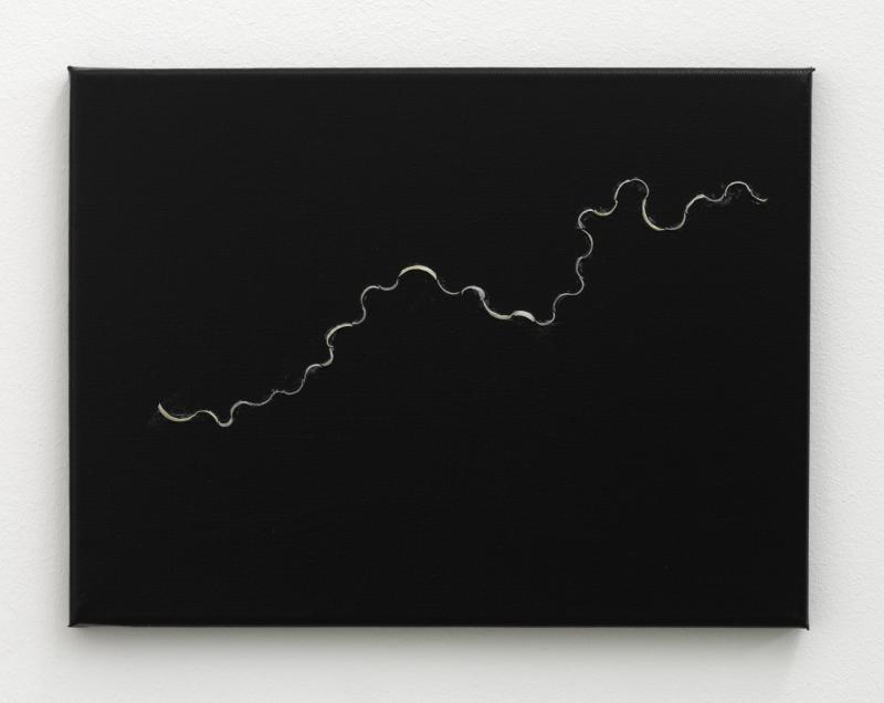 Finabldschw_Lie_Ha1_Rep_vW_3000b