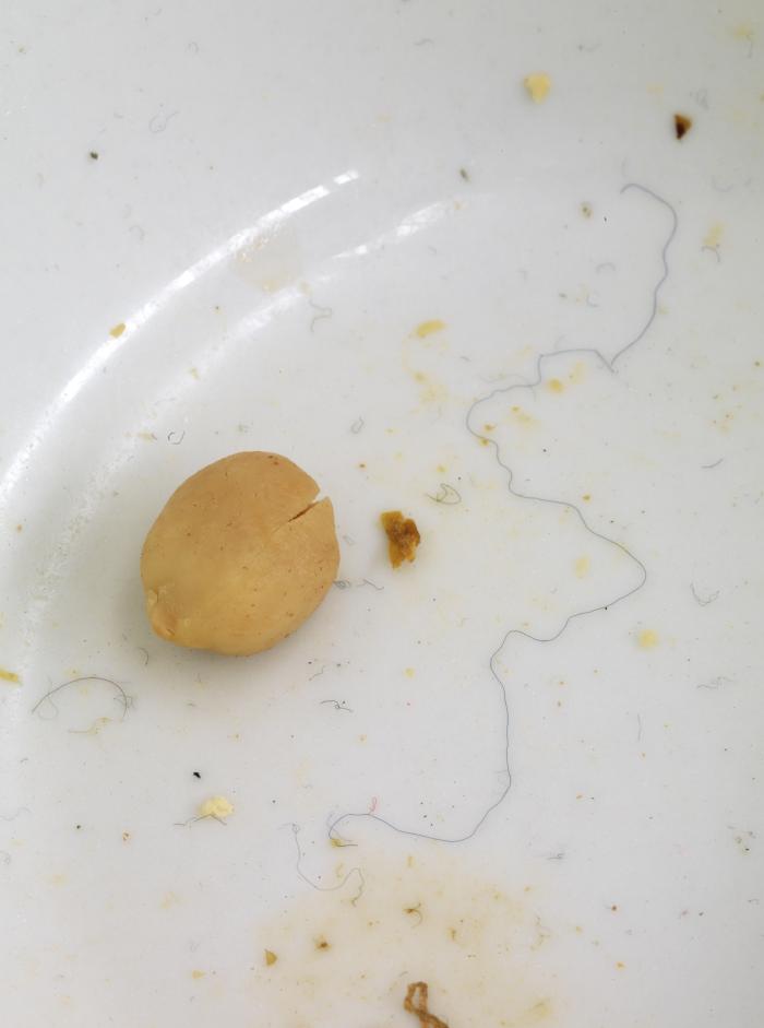 Enuscha_Lie_Det_Enuna_3000h